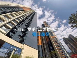 羅湖二線(xiàn)插花地